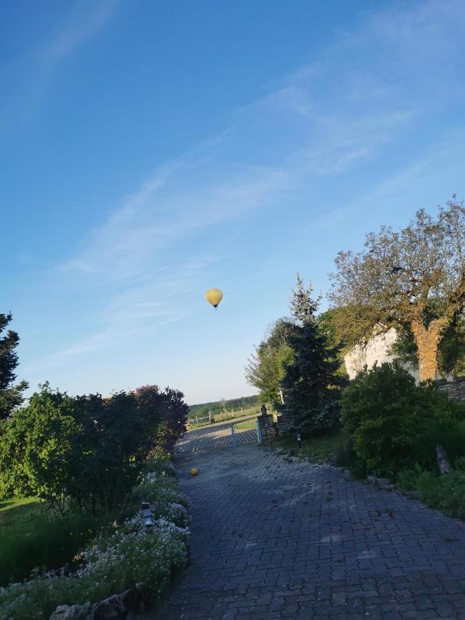 Gites Les Gambes Echenoz-le-Sec エクステリア 写真